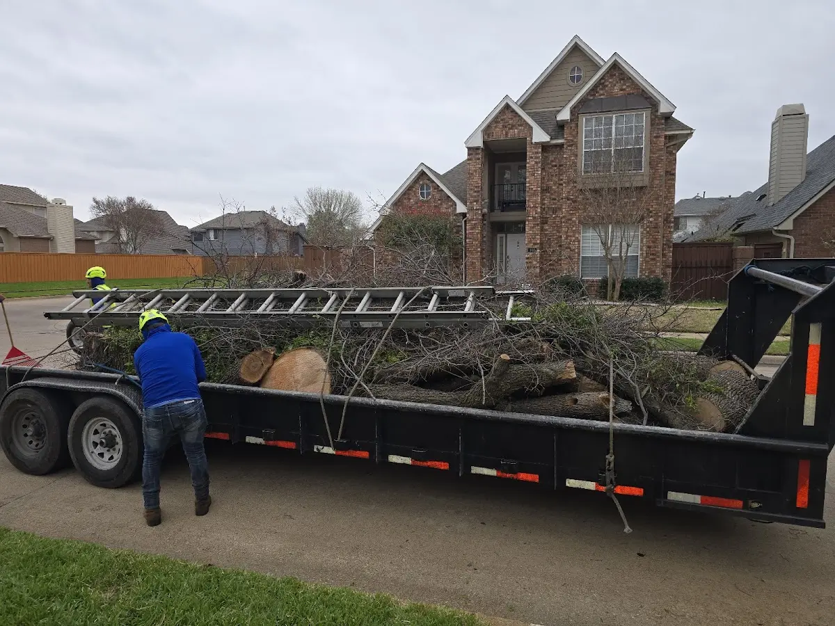 Expert Tree Removal with proper safety equipment in Poplar Grove